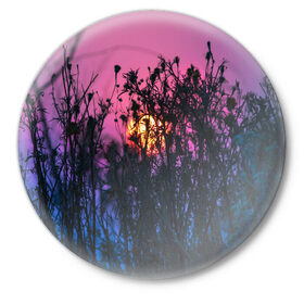 Значок с принтом Трава растения закатный свет в Курске,  металл | круглая форма, металлическая застежка в виде булавки | Тематика изображения на принте: вечер | закат | мило | небо | поле | рассвет | растения | свет | сумерки | сухоцвет