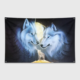Флаг-баннер с принтом ВОЛК В НОЧИ(D) в Курске, 100% полиэстер | размер 67 х 109 см, плотность ткани — 95 г/м2; по краям флага есть четыре люверса для крепления | wolf | волк | волки | волчица | животные | одинокий волк