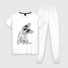Женская пижама хлопок с принтом бульдог в Курске, 100% хлопок | брюки и футболка прямого кроя, без карманов, на брюках мягкая резинка на поясе и по низу штанин | бульдог | животные | песокафе | рисунок | собаки