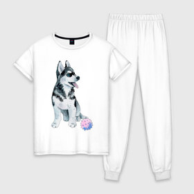 Женская пижама хлопок с принтом Хаски в Курске, 100% хлопок | брюки и футболка прямого кроя, без карманов, на брюках мягкая резинка на поясе и по низу штанин | животные | песокафе | рисунок | собаки | хаски