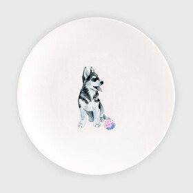 Тарелка с принтом Хаски в Курске, фарфор | диаметр - 210 мм
диаметр для нанесения принта - 120 мм | животные | песокафе | рисунок | собаки | хаски