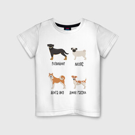 Детская футболка хлопок с принтом ротвейлер мопс акита джек в Курске, 100% хлопок | круглый вырез горловины, полуприлегающий силуэт, длина до линии бедер | акита ину | джек рассел | мопс | песокафе | ротвейлер | собаки