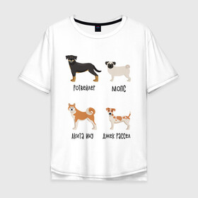 Мужская футболка хлопок Oversize с принтом ротвейлер мопс акита джек в Курске, 100% хлопок | свободный крой, круглый ворот, “спинка” длиннее передней части | акита ину | джек рассел | мопс | песокафе | ротвейлер | собаки