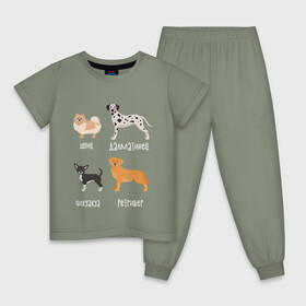 Детская пижама хлопок с принтом шпиц ретривер белый в Курске, 100% хлопок |  брюки и футболка прямого кроя, без карманов, на брюках мягкая резинка на поясе и по низу штанин
 | Тематика изображения на принте: далматинец | песокафе | ретривер | собаки | чихуахуа | шпиц