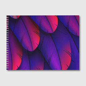 Альбом для рисования с принтом Tropics в Курске, 100% бумага
 | матовая бумага, плотность 200 мг. | purple | абстрактный | абстракция | геометрический рисунок | геометрия | индиго | корея | кружево | листья | лого | неон | неоновая | неоновое | неоновые листья | неоновый | пальмы | рисунок | текстура