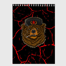 Скетчбук с принтом Медведь СССР в Курске, 100% бумага
 | 48 листов, плотность листов — 100 г/м2, плотность картонной обложки — 250 г/м2. Листы скреплены сверху удобной пружинной спиралью | bear | bears | cosmo | gagarin | stalin | ussr | гагарин | герой | коммунизм | комунизм | космос | красная | ленин | медведи | медведь | медвежонок | молот | отечественная | первый космонавт | серп | серп и молот | союз