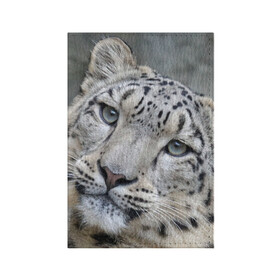 Обложка для паспорта матовая кожа с принтом Ирбис в Курске, натуральная матовая кожа | размер 19,3 х 13,7 см; прозрачные пластиковые крепления | Тематика изображения на принте: snow leopard | барс | барсы | животное | животные | звери | зверь | зима | зимы | ирбис | киски | кот | коты | кошачьи | кошка | кошки | мохнатые | мохнатый | пятнистые | пятнистый | снег | снежный