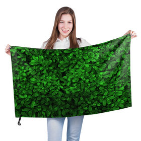 Флаг 3D с принтом Свежая трава в Курске, 100% полиэстер | плотность ткани — 95 г/м2, размер — 67 х 109 см. Принт наносится с одной стороны | арт | зелёный | светлый | тёмный | четкий
