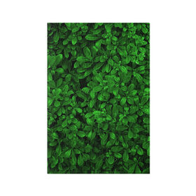 Обложка для паспорта матовая кожа с принтом Свежая трава в Курске, натуральная матовая кожа | размер 19,3 х 13,7 см; прозрачные пластиковые крепления | арт | зелёный | светлый | тёмный | четкий