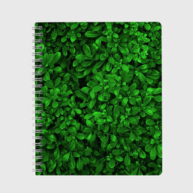 Тетрадь с принтом Свежая трава в Курске, 100% бумага | 48 листов, плотность листов — 60 г/м2, плотность картонной обложки — 250 г/м2. Листы скреплены сбоку удобной пружинной спиралью. Уголки страниц и обложки скругленные. Цвет линий — светло-серый
 | Тематика изображения на принте: арт | зелёный | светлый | тёмный | четкий