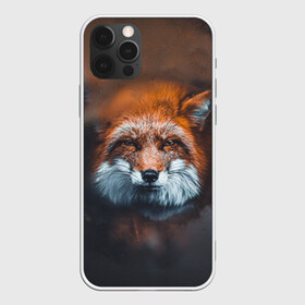 Чехол для iPhone 12 Pro Max с принтом Лиса в Курске, Силикон |  | Тематика изображения на принте: волк | енот | енотик | зверь | зоопарк | колобок | лес | лис | лиса | лисёнок | лисица | лисы | мультик | пёс | писец | сибирь | сказка | собака | тайга