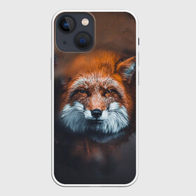 Чехол для iPhone 13 mini с принтом Лиса в Курске,  |  | волк | енот | енотик | зверь | зоопарк | колобок | лес | лис | лиса | лисёнок | лисица | лисы | мультик | пёс | писец | сибирь | сказка | собака | тайга