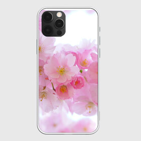 Чехол для iPhone 12 Pro Max с принтом Сакура в Курске, Силикон |  | красивые | лето | летоахлето | летовернись | летожара | летонеуходи | летоцветы | леточко | любовь | много | много цветов | насекомые | радость | сакура | цветы