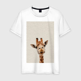 Мужская футболка хлопок с принтом жираф в Курске, 100% хлопок | прямой крой, круглый вырез горловины, длина до линии бедер, слегка спущенное плечо. | Тематика изображения на принте: giraffe | zoo | африканский жираф | жираф | жираф из зоопарка | жирафик | зоопарк