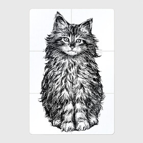 Магнитный плакат 2Х3 с принтом Пушистый котенок в Курске, Полимерный материал с магнитным слоем | 6 деталей размером 9*9 см | Тематика изображения на принте: белый котенок | кот | котенок | коты | котята | кошечка | кошка | кошки | милые котята | милый котенок | няшки | пушистый котенок