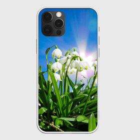 Чехол для iPhone 12 Pro Max с принтом Подснежники в Курске, Силикон |  | зелень | подснежник | подснежники | природа | природный | растение | растения | флора | цветок | цветочек | цветы