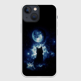 Чехол для iPhone 13 mini с принтом Кот в Курске,  |  | космос | кот | котенок | котик | кошка | луна | небо | ночь