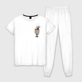 Женская пижама хлопок с принтом Панды в Курске, 100% хлопок | брюки и футболка прямого кроя, без карманов, на брюках мягкая резинка на поясе и по низу штанин | бамбук | животные | карман | панда