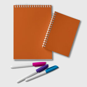 Блокнот с принтом Радуга v6 - оранжевый в Курске, 100% бумага | 48 листов, плотность листов — 60 г/м2, плотность картонной обложки — 250 г/м2. Листы скреплены удобной пружинной спиралью. Цвет линий — светло-серый
 | Тематика изображения на принте: без дизайна | без картинки | одноцветные | оранжевый