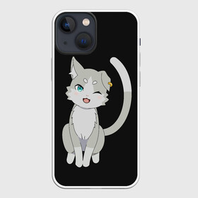 Чехол для iPhone 13 mini с принтом Re:Zero в Курске,  |  | anime | cat | cats | glitch | japan | ram | re | rem | rezero | senpai | subaru | waifu | zero | анимация | аниме | вайфу | глитч | глич | кот | кошка | мультсериал | мультфильм | семпай | сенпай | сериал | япония