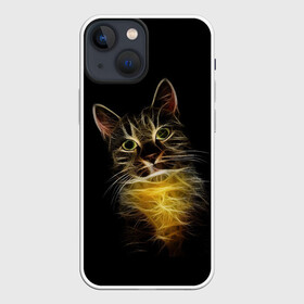 Чехол для iPhone 13 mini с принтом Дымчато световой кот в Курске,  |  | арт | дым | желтый | кот | кошка | кривые | рисунок | свет | серый | тёмный | чёрный | яркие линии