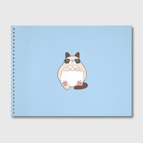 Альбом для рисования с принтом Тоторный кот в Курске, 100% бумага
 | матовая бумага, плотность 200 мг. | grumpy cat | белый | кот тоторо | кот. недовольный кот | крем | мило | милота | мимишка | тоторо