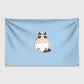 Флаг-баннер с принтом Тоторный кот в Курске, 100% полиэстер | размер 67 х 109 см, плотность ткани — 95 г/м2; по краям флага есть четыре люверса для крепления | grumpy cat | белый | кот тоторо | кот. недовольный кот | крем | мило | милота | мимишка | тоторо