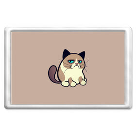Магнит 45*70 с принтом Великий Grumpy Cat в Курске, Пластик | Размер: 78*52 мм; Размер печати: 70*45 | Тематика изображения на принте: grumpy cat | арт | кот | кот grumpy cat | котёнок | кошка | недовольный кот | рисунок