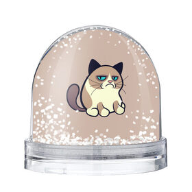 Снежный шар с принтом Великий Grumpy Cat в Курске, Пластик | Изображение внутри шара печатается на глянцевой фотобумаге с двух сторон | grumpy cat | арт | кот | кот grumpy cat | котёнок | кошка | недовольный кот | рисунок