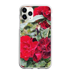 Чехол для iPhone 11 Pro матовый с принтом Red Roses в Курске, Силикон |  | bush | floral | flower | garden | green | nature | red roses | бутоны | красная роза | куст | листья | природа | роза | сад | цветение | цветок | цветы