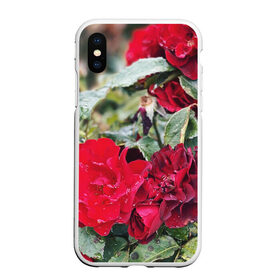 Чехол для iPhone XS Max матовый с принтом Red Roses в Курске, Силикон | Область печати: задняя сторона чехла, без боковых панелей | Тематика изображения на принте: bush | floral | flower | garden | green | nature | red roses | бутоны | красная роза | куст | листья | природа | роза | сад | цветение | цветок | цветы