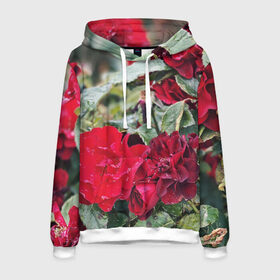 Мужская толстовка 3D с принтом Red Roses в Курске, 100% полиэстер | двухслойный капюшон со шнурком для регулировки, мягкие манжеты на рукавах и по низу толстовки, спереди карман-кенгуру с мягким внутренним слоем. | bush | floral | flower | garden | green | nature | red roses | бутоны | красная роза | куст | листья | природа | роза | сад | цветение | цветок | цветы