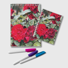 Блокнот с принтом Red Roses в Курске, 100% бумага | 48 листов, плотность листов — 60 г/м2, плотность картонной обложки — 250 г/м2. Листы скреплены удобной пружинной спиралью. Цвет линий — светло-серый
 | Тематика изображения на принте: bush | floral | flower | garden | green | nature | red roses | бутоны | красная роза | куст | листья | природа | роза | сад | цветение | цветок | цветы