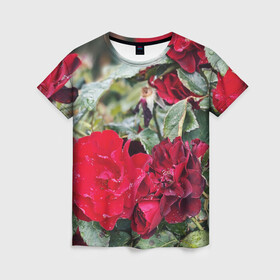 Женская футболка 3D с принтом Red Roses в Курске, 100% полиэфир ( синтетическое хлопкоподобное полотно) | прямой крой, круглый вырез горловины, длина до линии бедер | bush | floral | flower | garden | green | nature | red roses | бутоны | красная роза | куст | листья | природа | роза | сад | цветение | цветок | цветы