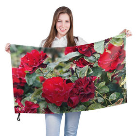 Флаг 3D с принтом Red Roses в Курске, 100% полиэстер | плотность ткани — 95 г/м2, размер — 67 х 109 см. Принт наносится с одной стороны | bush | floral | flower | garden | green | nature | red roses | бутоны | красная роза | куст | листья | природа | роза | сад | цветение | цветок | цветы