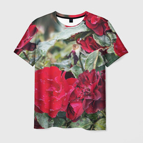 Мужская футболка 3D с принтом Red Roses в Курске, 100% полиэфир | прямой крой, круглый вырез горловины, длина до линии бедер | bush | floral | flower | garden | green | nature | red roses | бутоны | красная роза | куст | листья | природа | роза | сад | цветение | цветок | цветы