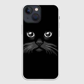 Чехол для iPhone 13 mini с принтом Кошачья моська в Курске,  |  | Тематика изображения на принте: арт | вектор | кот | котёнок | кошка | рисунок | черная кошка | чёрный | черный кот | черный котенок