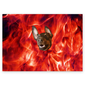 Поздравительная открытка с принтом Огненый Пес в Курске, 100% бумага | плотность бумаги 280 г/м2, матовая, на обратной стороне линовка и место для марки
 | голова | горячий | горящий | доберман | животное | зверек | зверь | зубы | клык | красный | лицо | овчарка | огонь | пес | пламя | рот | ротвейлер | свет | собака | удивленный | улыбка | щенок
