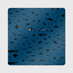Магнит виниловый Квадрат с принтом Fish в Курске, полимерный материал с магнитным слоем | размер 9*9 см, закругленные углы | Тематика изображения на принте: dolphin | fish | killer whale | see life | shark | акула | дельфин | касатка | морские обитатели | рыба