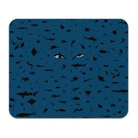 Коврик для мышки прямоугольный с принтом Fish в Курске, натуральный каучук | размер 230 х 185 мм; запечатка лицевой стороны | dolphin | fish | killer whale | see life | shark | акула | дельфин | касатка | морские обитатели | рыба