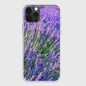 Чехол для iPhone 12 Pro Max с принтом Lavender field в Курске, Силикон |  | Тематика изображения на принте: field | green | lavender | nature | summer | violet | бутон | клумба. | лаванда | лето | лиловый | поле | сиреневый | фиолетовый | цветение | цветок | цветы