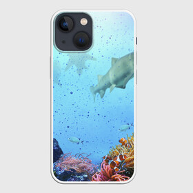 Чехол для iPhone 13 mini с принтом акулы в Курске,  |  | аквариум | акула | море | морской житель | океан