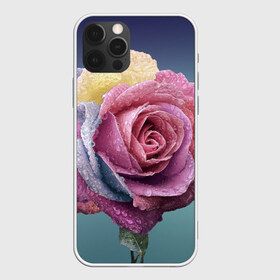 Чехол для iPhone 12 Pro Max с принтом Роза в Курске, Силикон |  | природа | разноцветная | разноцветные | растение | растения | роза | розочка | розочки | розы | цветная | цветные | цветок | цветы