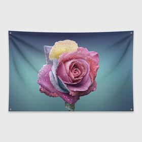 Флаг-баннер с принтом Роза в Курске, 100% полиэстер | размер 67 х 109 см, плотность ткани — 95 г/м2; по краям флага есть четыре люверса для крепления | Тематика изображения на принте: природа | разноцветная | разноцветные | растение | растения | роза | розочка | розочки | розы | цветная | цветные | цветок | цветы