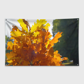 Флаг-баннер с принтом Букет из осенних листьев в Курске, 100% полиэстер | размер 67 х 109 см, плотность ткани — 95 г/м2; по краям флага есть четыре люверса для крепления | бабье лето | золотая осень | листья желтые | листья осенние | сентябрь | третье сентября
