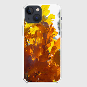 Чехол для iPhone 13 mini с принтом Букет из осенних листьев в Курске,  |  | бабье лето | золотая осень | листья желтые | листья осенние | сентябрь | третье сентября
