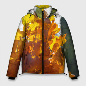 Мужская зимняя куртка 3D с принтом Букет из осенних листьев в Курске, верх — 100% полиэстер; подкладка — 100% полиэстер; утеплитель — 100% полиэстер | длина ниже бедра, свободный силуэт Оверсайз. Есть воротник-стойка, отстегивающийся капюшон и ветрозащитная планка. 

Боковые карманы с листочкой на кнопках и внутренний карман на молнии. | бабье лето | золотая осень | листья желтые | листья осенние | сентябрь | третье сентября