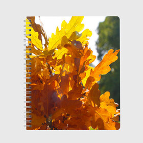 Тетрадь с принтом Букет из осенних листьев в Курске, 100% бумага | 48 листов, плотность листов — 60 г/м2, плотность картонной обложки — 250 г/м2. Листы скреплены сбоку удобной пружинной спиралью. Уголки страниц и обложки скругленные. Цвет линий — светло-серый
 | бабье лето | золотая осень | листья желтые | листья осенние | сентябрь | третье сентября