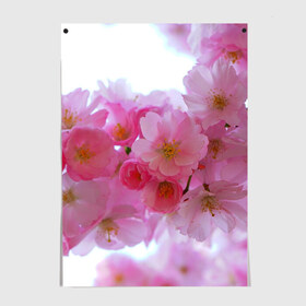 Постер с принтом Японская вишня в Курске, 100% бумага
 | бумага, плотность 150 мг. Матовая, но за счет высокого коэффициента гладкости имеет небольшой блеск и дает на свету блики, но в отличии от глянцевой бумаги не покрыта лаком | Тематика изображения на принте: вишни | вишня | дерево | деревья | природа | природный | растение | растения | флора | цветок | цветущая | цветущие | цветущий | цветы | японская | японские