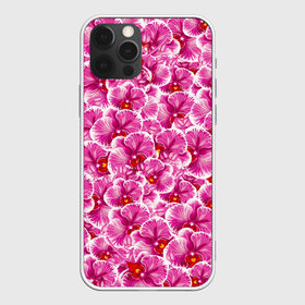 Чехол для iPhone 12 Pro Max с принтом Розовые орхидеи в Курске, Силикон |  | fashion flowers | pink | tropical | азия | бабочки | бразилия | букет | бутоны | джунгли | лепестки | лето | любимая | марта | нежные | орхидея | подарок | природа | растения | тропики | тропические | узор | цветение